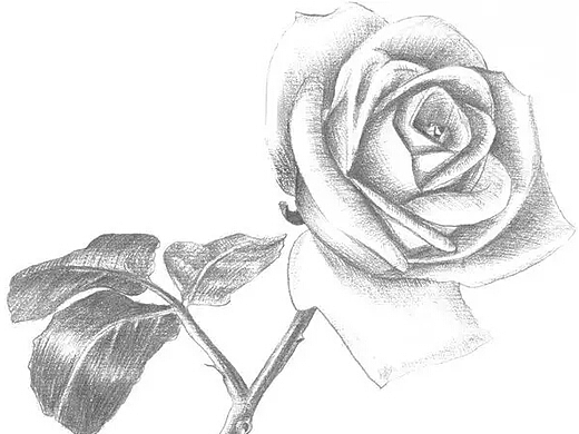 練習(xí)（個人主頁-ZMjM5MjU0OTI=） - 創(chuàng)作習(xí)作 - 站酷設(shè)計師紫逸飄零111原創(chuàng)素材 - 站酷ZCOOL