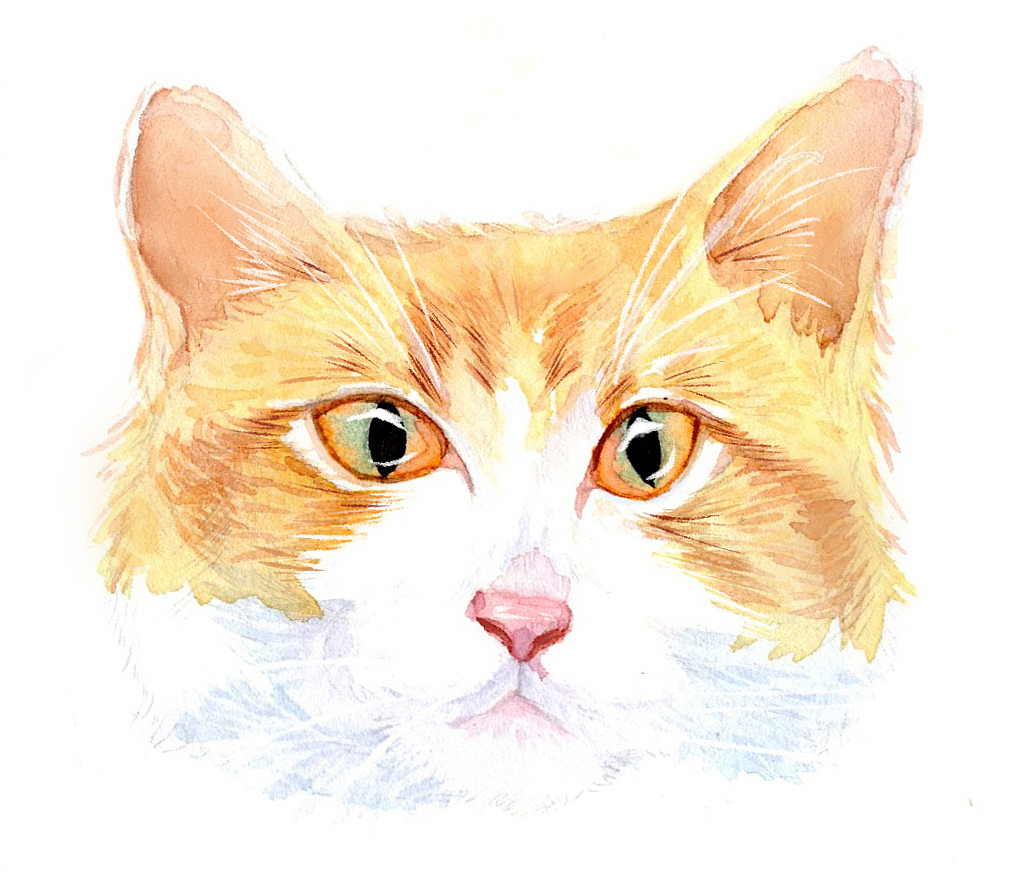 猫猫头合集（图ZMTg3NzQ4NzA0） - 艺术插画 - 站酷设计师deliadian原创素材 - 站酷ZCOOL