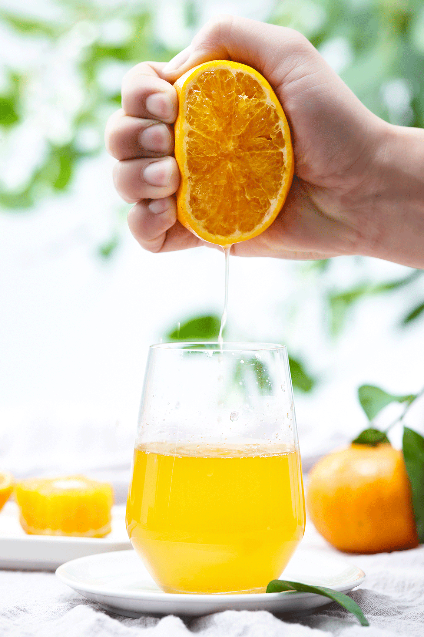 集各种优点于一身的水果——沃柑