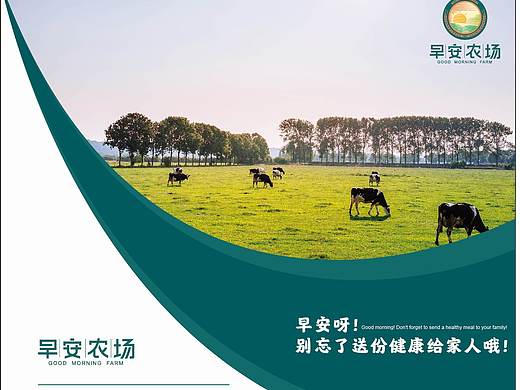 早安农场系列——宣传单页及四折页
