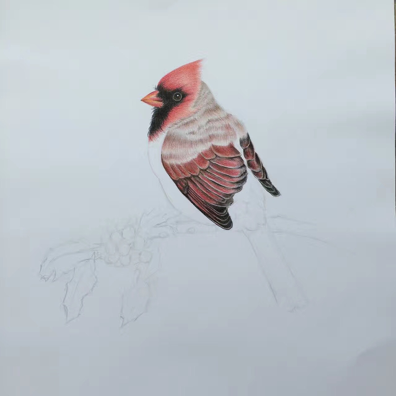 【彩铅作品】小鸟（图ZMTA5NjY5ODk2） - 创作习作 - 站酷设计师夏华刺青原创素材 - 站酷ZCOOL