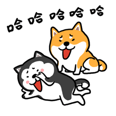二哈萌柴（微信表情包）（图ZODc3MzI5MTI=） - 网络表情 - 站酷设计师YMCStudio原创素材 - 站酷ZCOOL