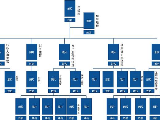 公司人员分布组织结构图--迅捷画图