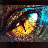 Dragon__龙的头像