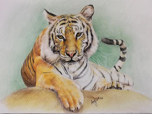 彩铅老虎（个人主页-ZMzgzNTA2MDg=） - 绘画 - 站酷设计师amy嗳芋原创素材 - 站酷ZCOOL