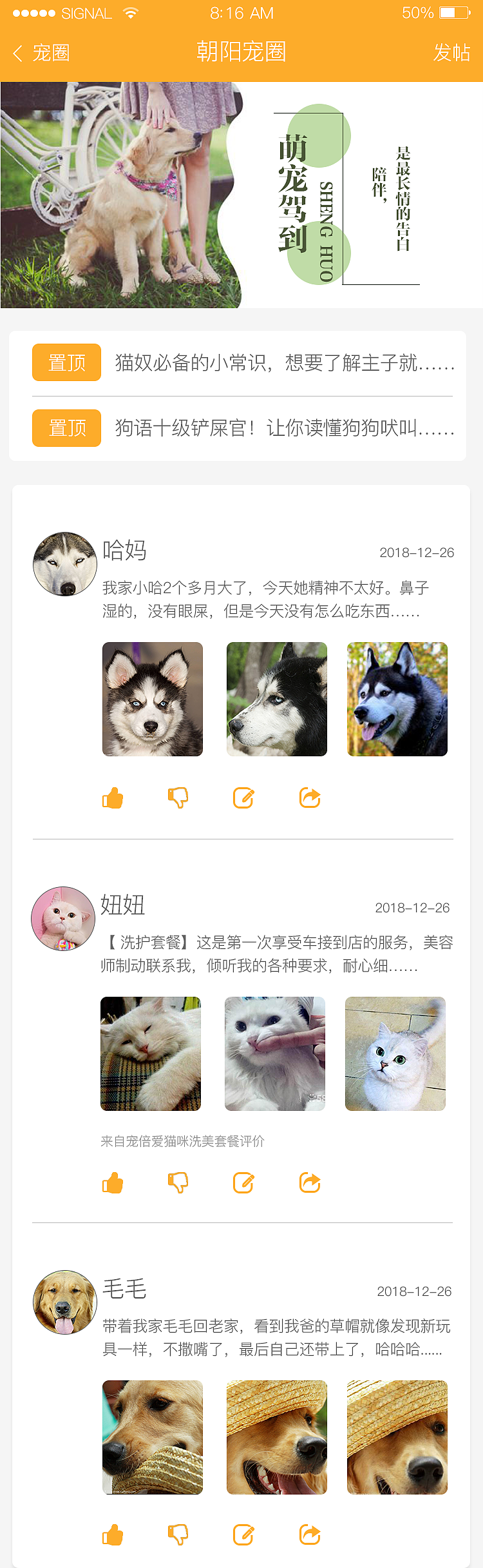 宠倍爱app