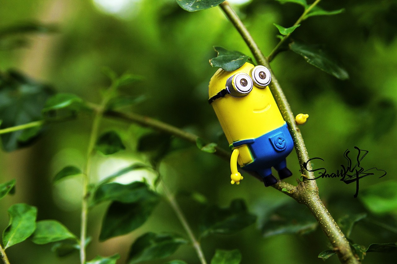 小黄人丛林历险