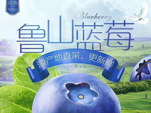 低调冷艳的蓝莓详情页