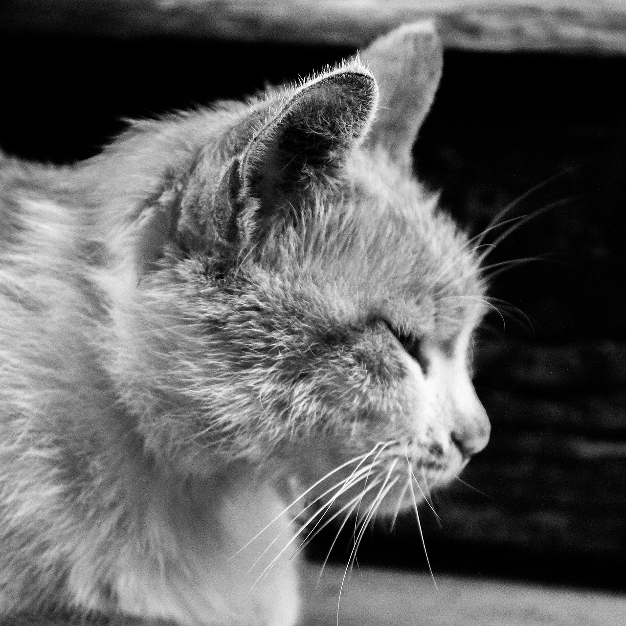 老片（图ZNjAwODgwMDg=） - 风光摄影 - 站酷设计师天上的羊原创素材 - 站酷ZCOOL