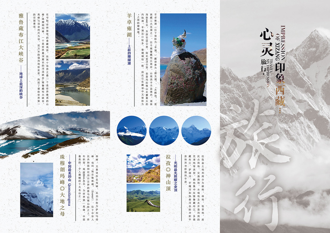 三折页、单页、易拉宝