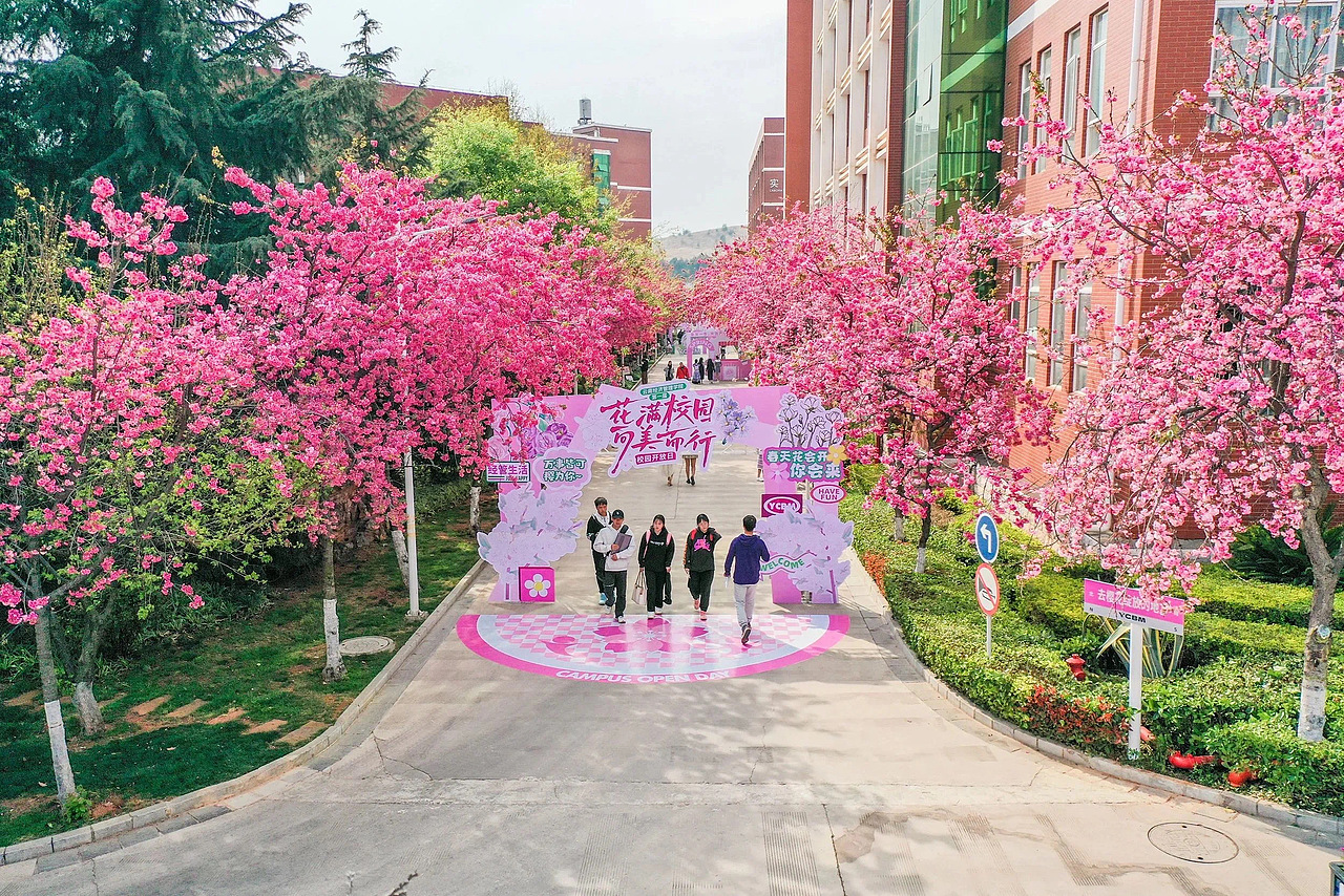 云南经济管理学院｜校园开放日活动主画面及延展（图ZMzM0NDI5NDU2） - 宣传物料 - 站酷设计师Wednes66原创素材 - 站酷ZCOOL