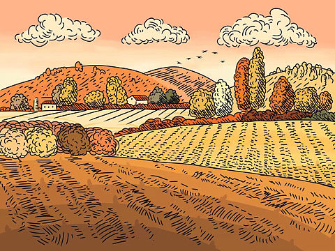 秋日丰收（随意画画）