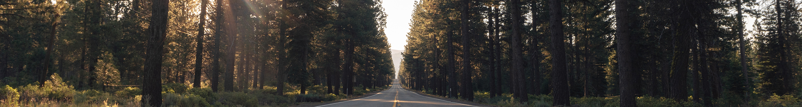 一宿秋的个人主页（封面预览） - 主页封面设置 - 站酷设计师一宿秋原创素材 - 站酷ZCOOL