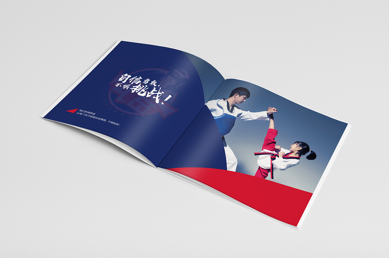 跆拳道培训画册无儿童教育培训画册武术画册