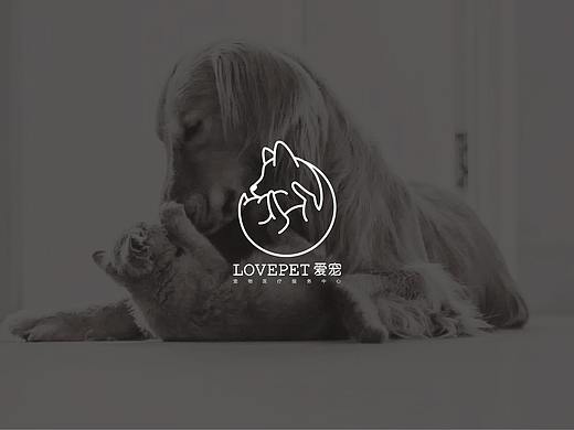 一个关于猫猫狗狗的宠物服务中心标志