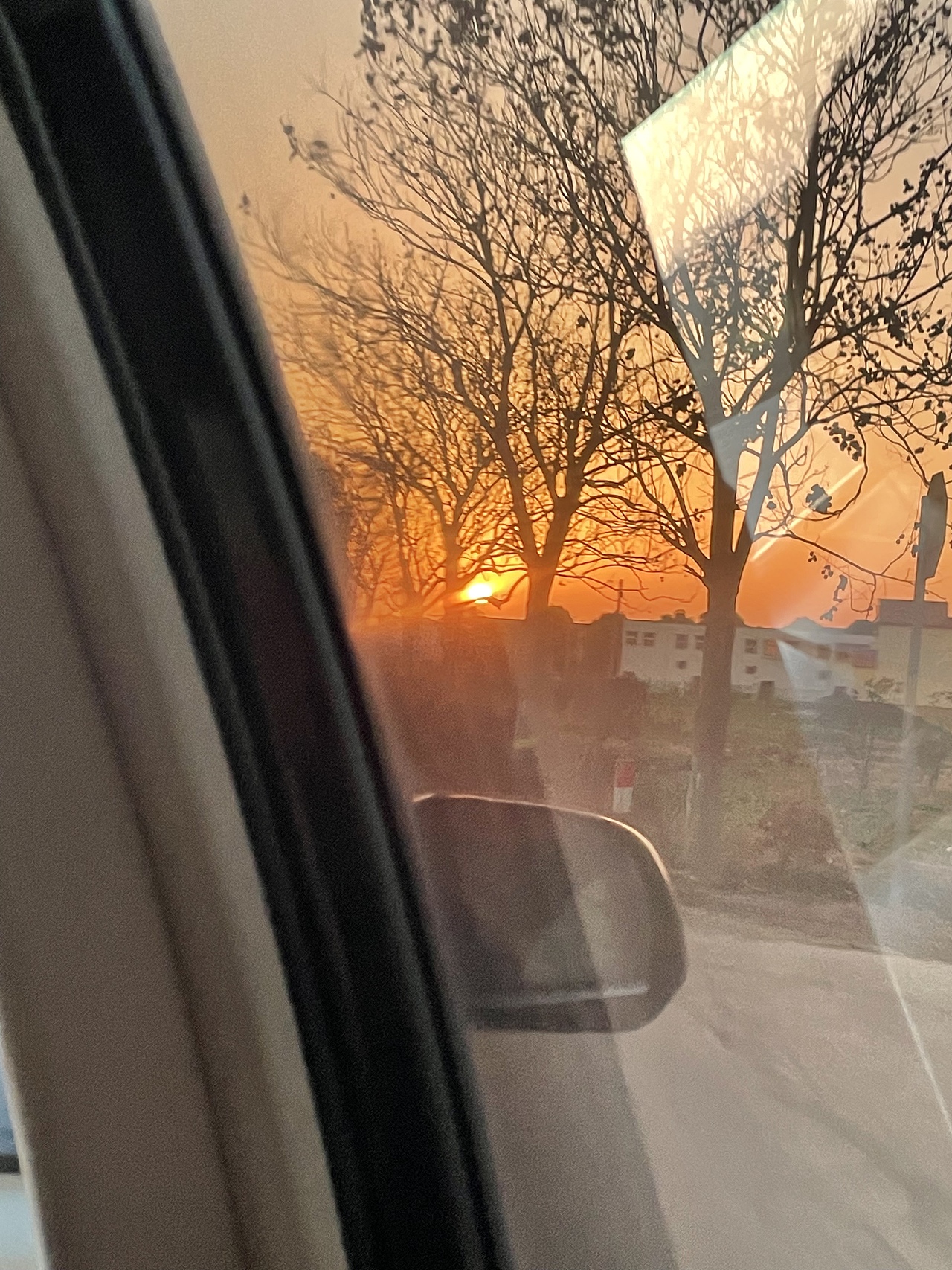 有一天我望远山 远山悲悯