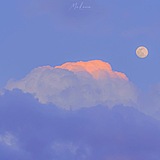 浮云恬恬的头像