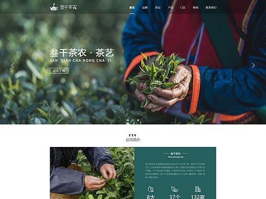 叁千茶农网页改版（个人主页-ZNTExMDc0MDg=） - 企业官网 - 站酷设计师爱设计的小G原创素材 - 站酷ZCOOL