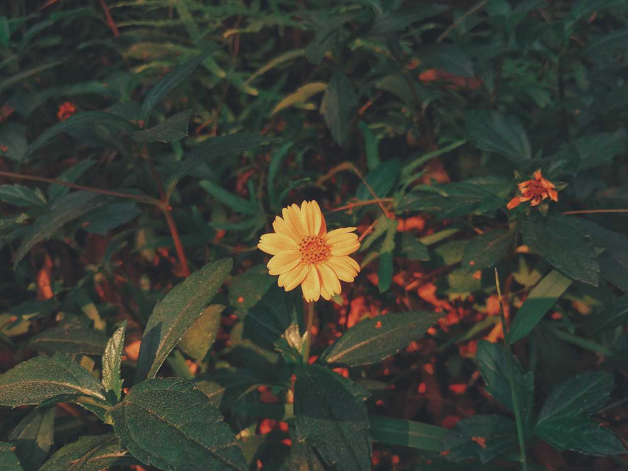 旅（图ZMjQ5MDkwNTg4） - 风光摄影 - 站酷设计师Qyina原创素材 - 站酷ZCOOL