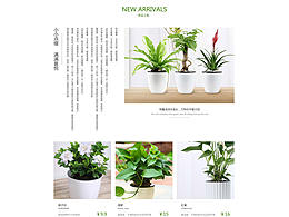 植物首頁