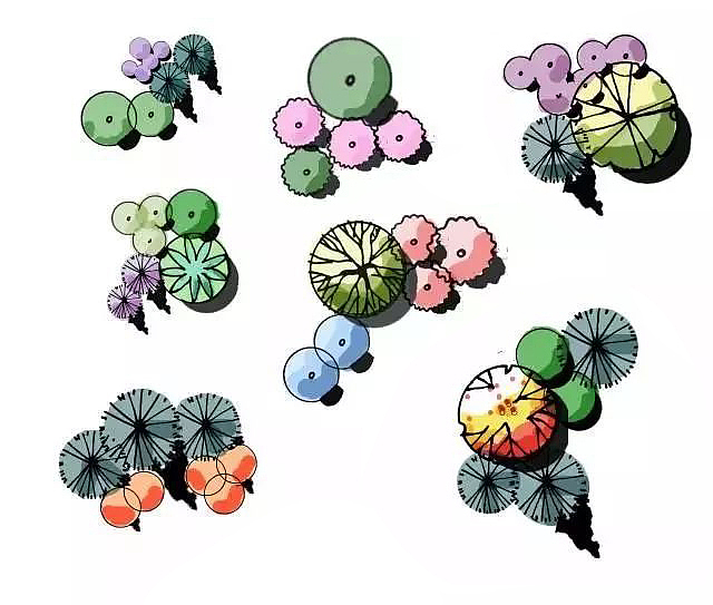 景观设计考研快题手绘/平面图手绘/植物配置组合形式