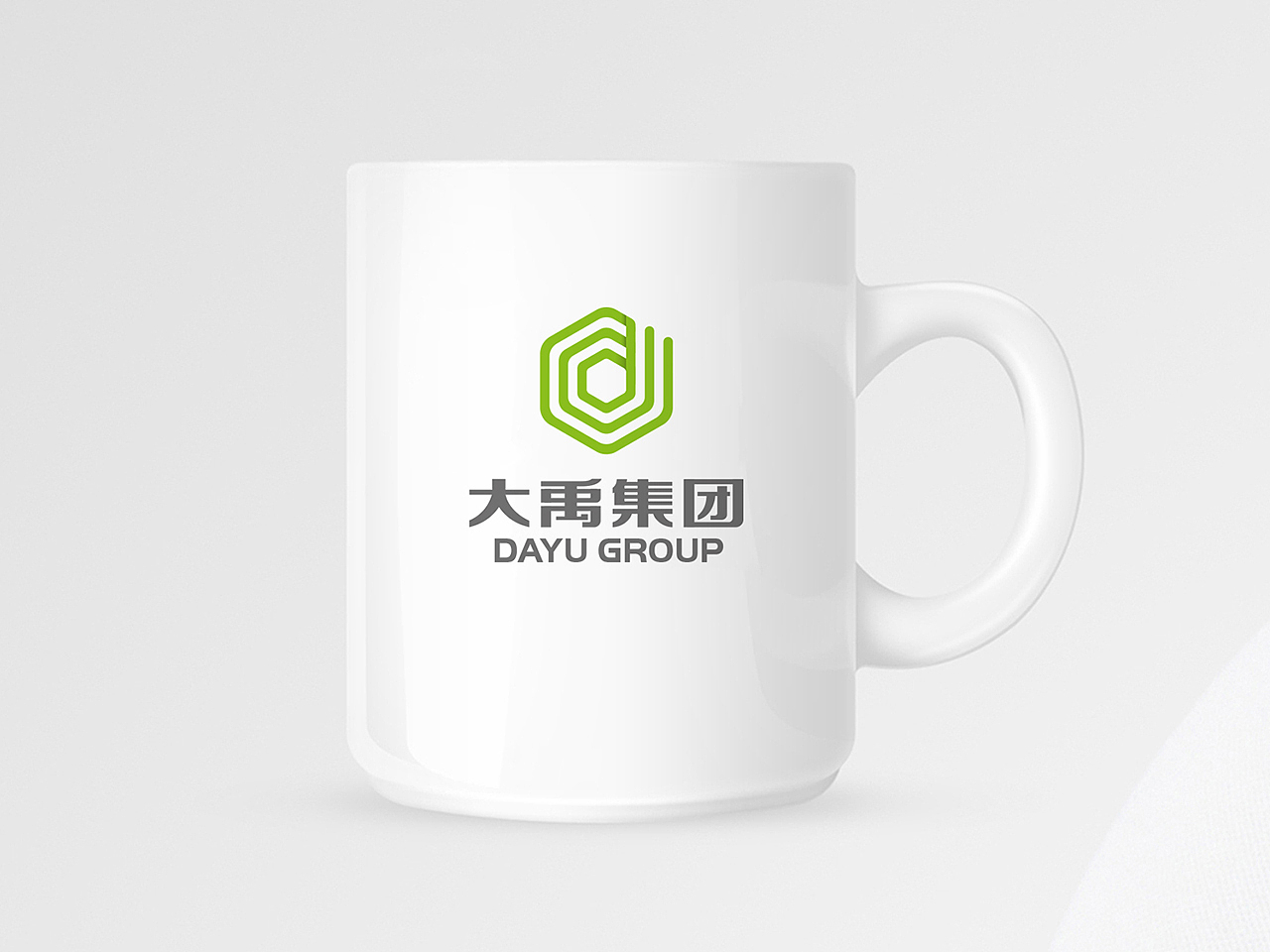 大禹地产集团