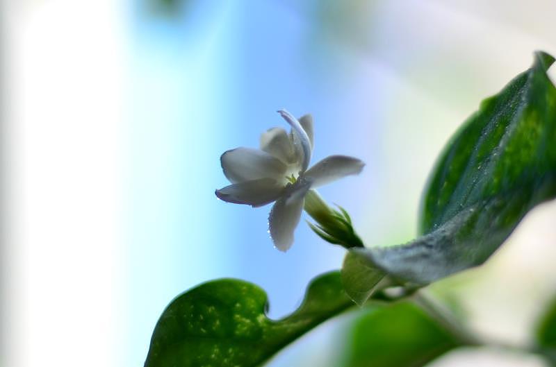 隨手小拍（圖ZMTU1NjgyMTI4） - 產(chǎn)品攝影 - 站酷設(shè)計師心尚善原創(chuàng)素材 - 站酷ZCOOL