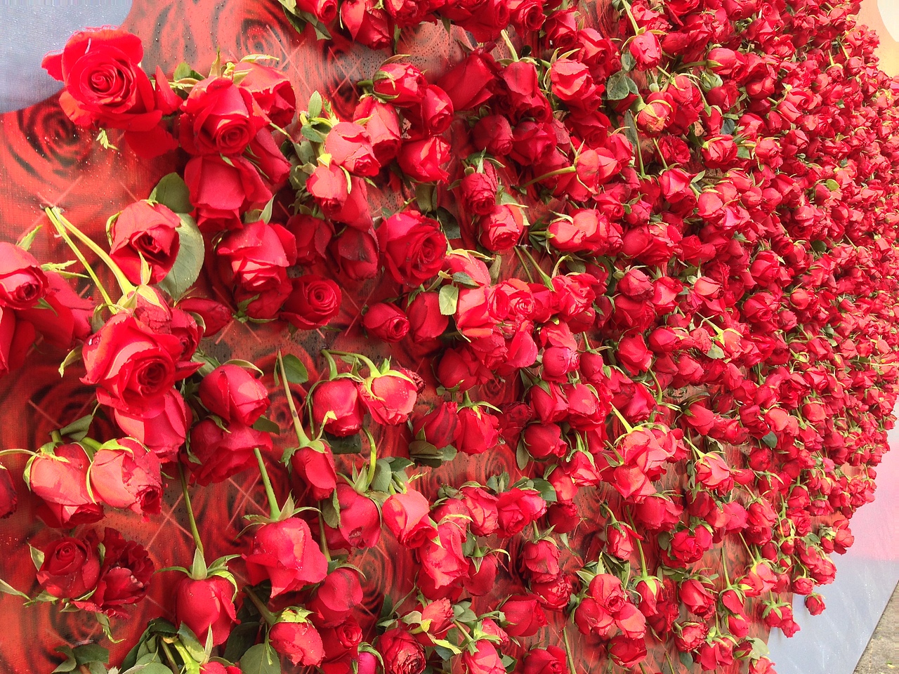 活动策划与设计 / FENIX珠宝 / 2016