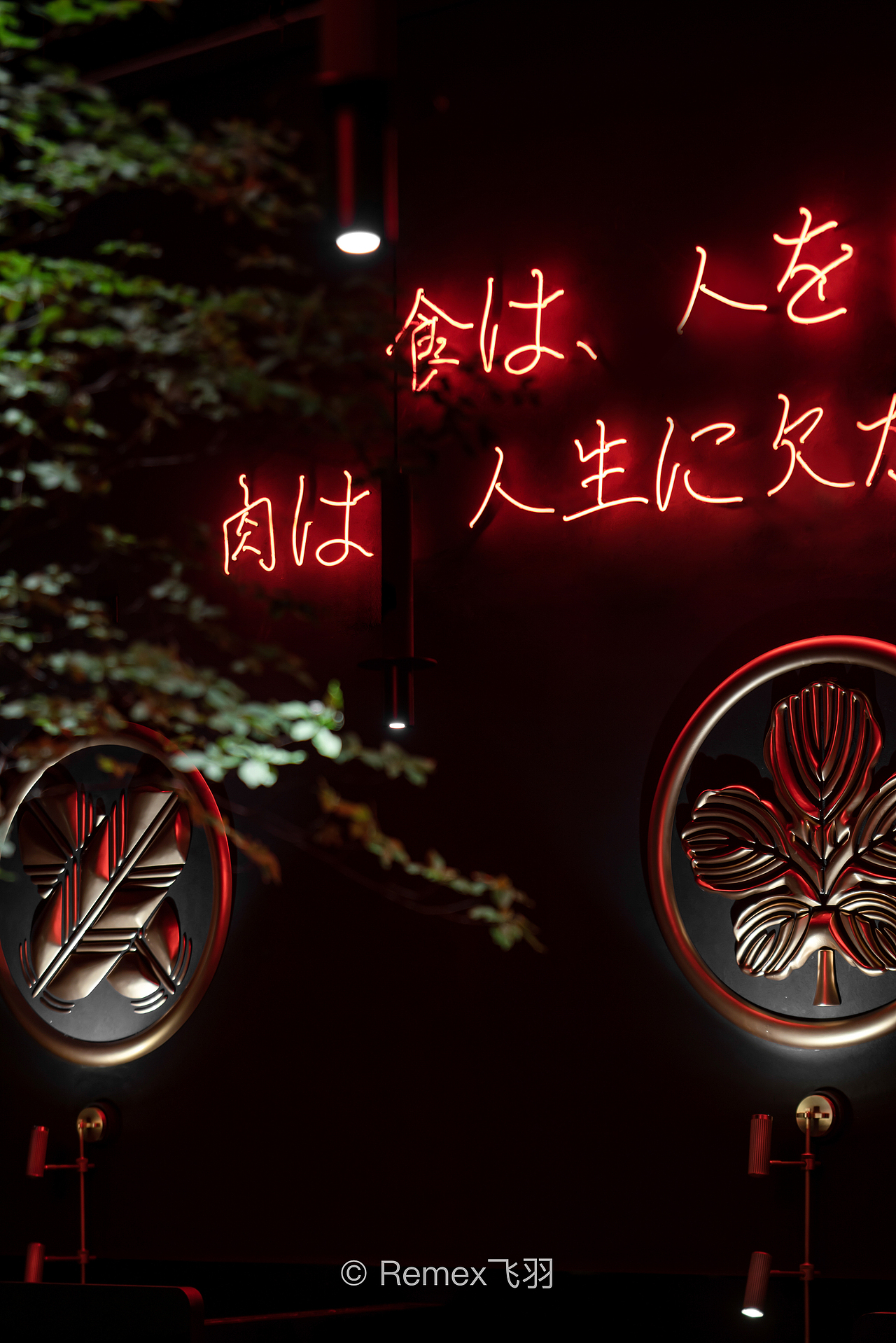 夜幕霓虹里的武士道|空间摄影飞羽