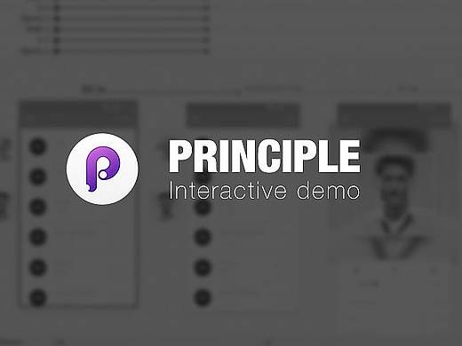 Principle 交互小样