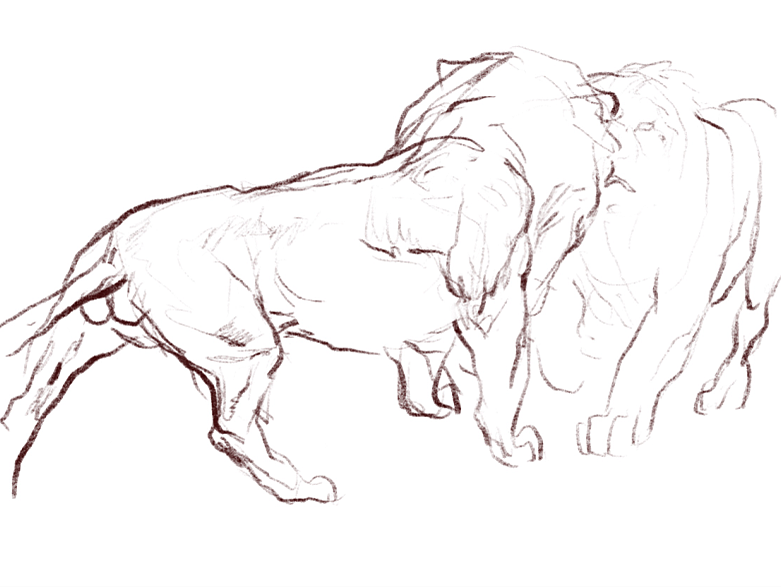 地铁上练习（动物篇）（图ZMTQ4MTk0NjM2） - 创作习作 - 站酷设计师S肚子爱画画D原创素材 - 站酷ZCOOL