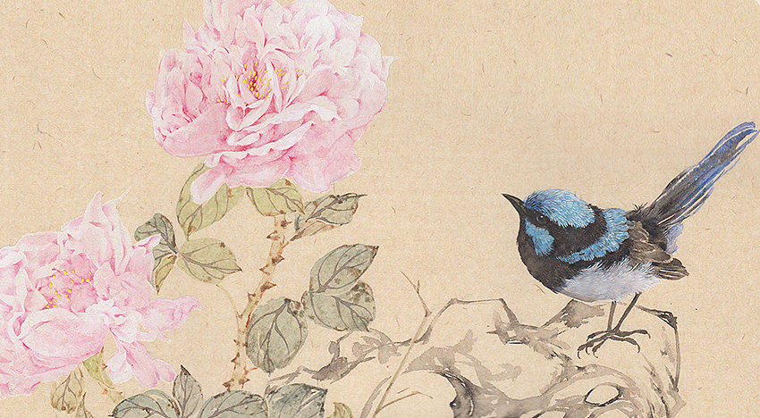 一组没骨蔷薇花鸟画~|纯艺术|绘画|知末 - 原创作品 - 站酷 (zcool)