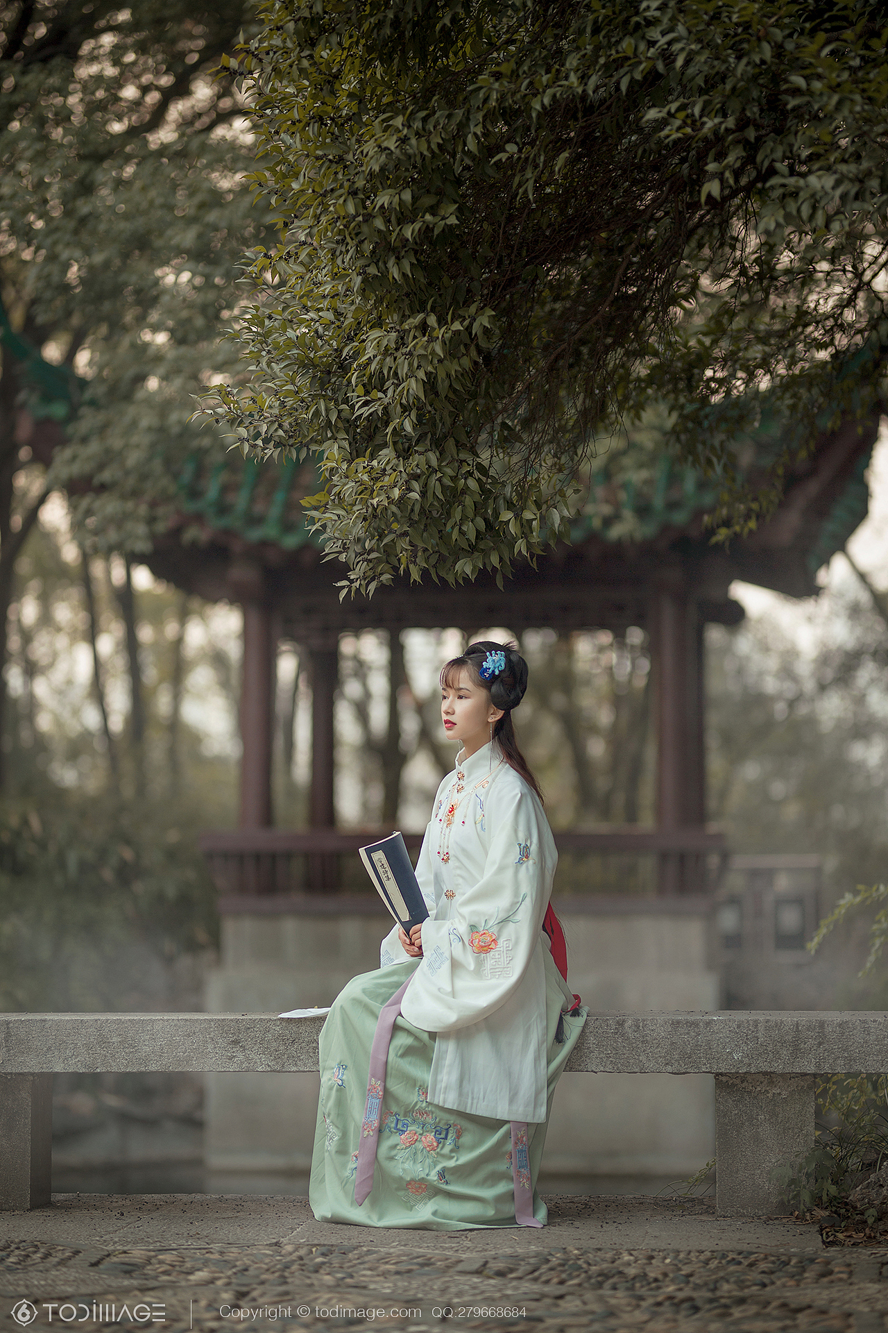 古风人像《阅秋图》