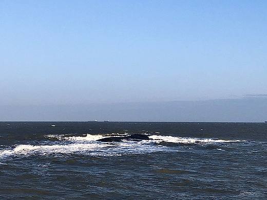 在冬天看海（个人主页-ZMzUzNzkwNTY=） - 风光摄影 - 站酷设计师JUNE的七七原创素材 - 站酷ZCOOL