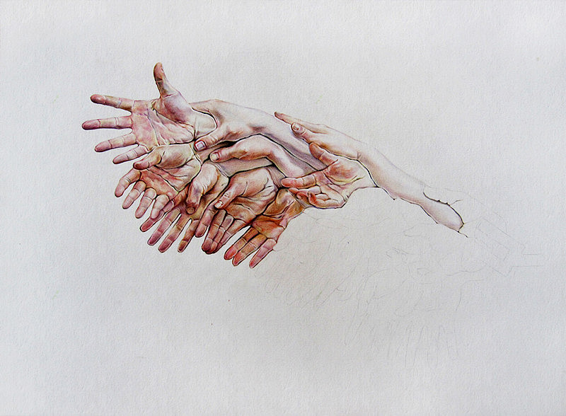李小葱《手羽》--彩铅画（图ZNDUzMDU2MA==） - 绘画 - 站酷设计师超超的青葱原创素材 - 站酷ZCOOL