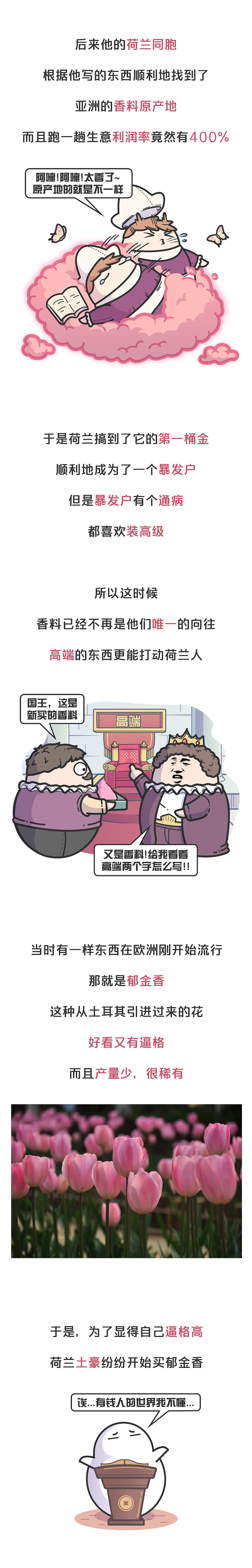 美丽的荷兰郁金香，曾让无数人从一夜暴富到倾家荡产（图ZMTgwMDU3ODM2） - 其他动漫 - 站酷设计师赛雷话金原创素材 - 站酷ZCOOL