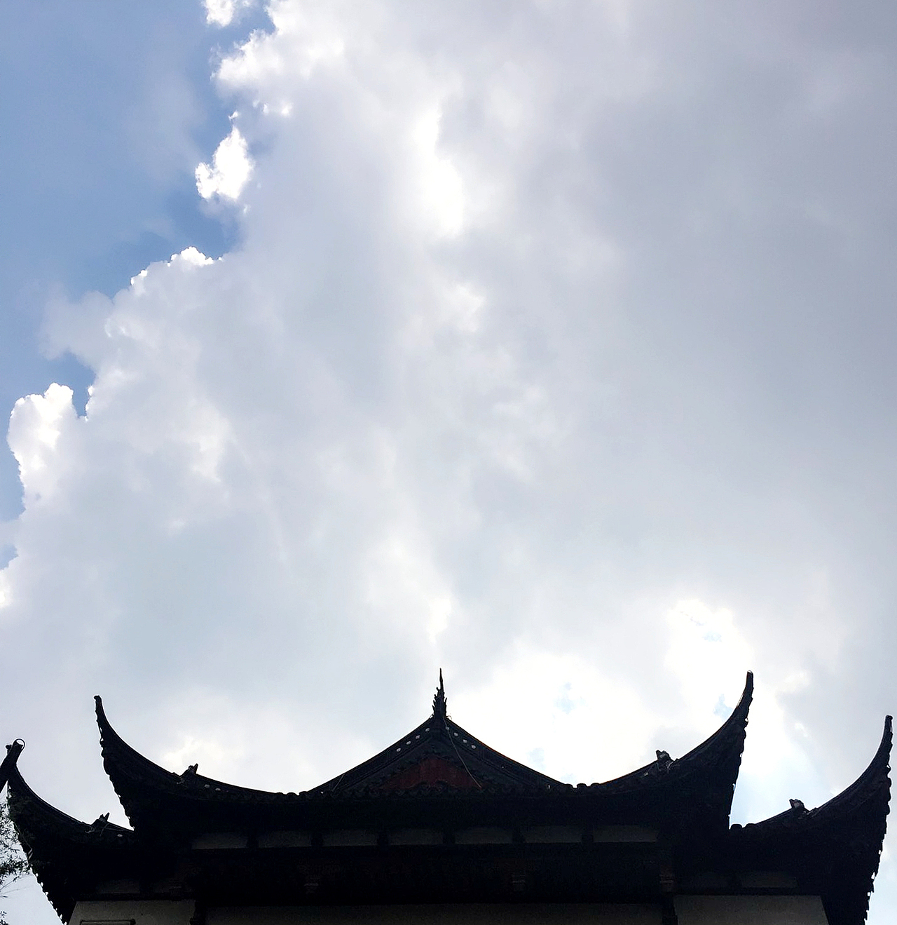 一些手机里的随手拍（图ZMTE3NDU5MTY4） - 风光摄影 - 站酷设计师秋酱Autumn原创素材 - 站酷ZCOOL