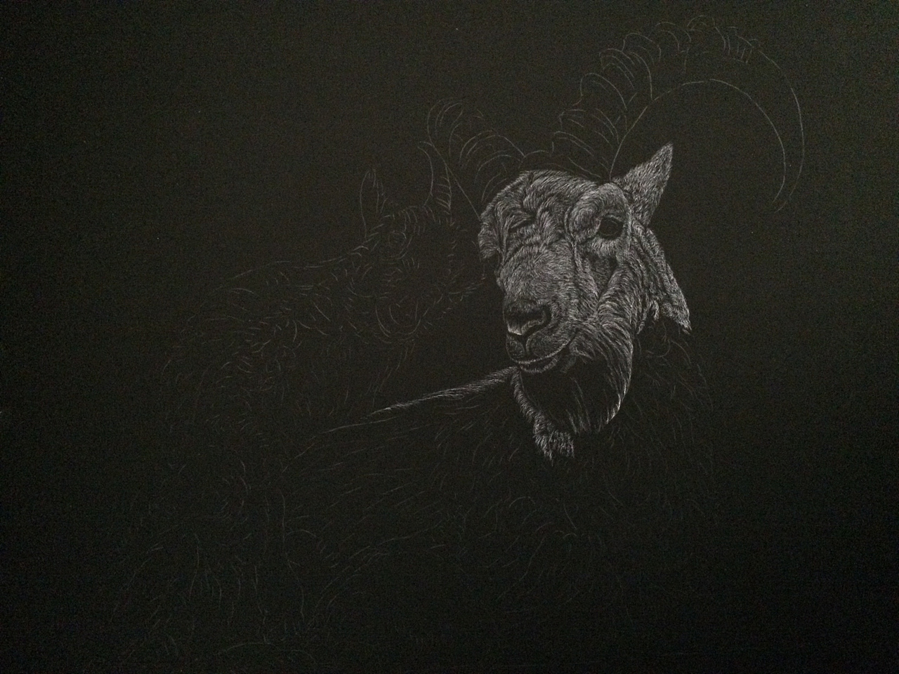李子哥刮画作品《羊羊得意》（图ZMTU1MzUwMjY0） - 绘画 - 站酷设计师李子哥原创素材 - 站酷ZCOOL