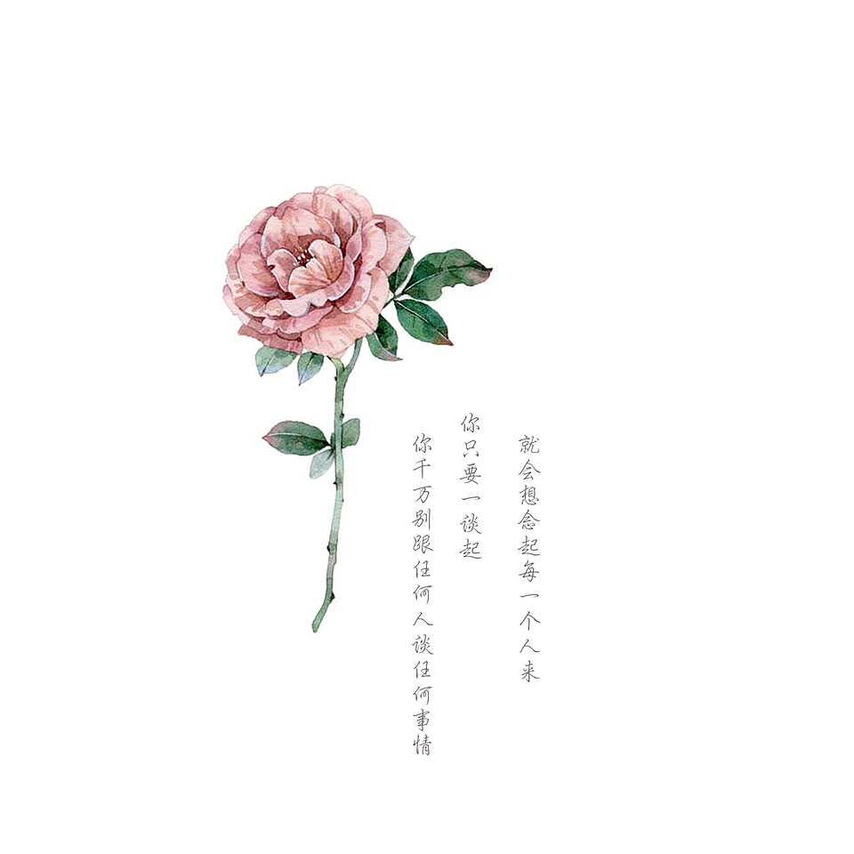 水彩手绘插画花卉原创