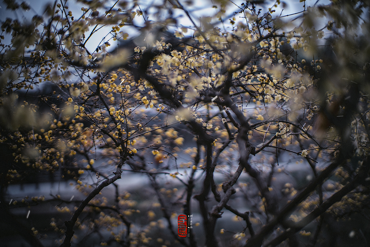 《瞻园·见》（图ZMTk0MTk0NzAw） - 环境/建筑摄影 - 站酷设计师摄影师子意原创素材 - 站酷ZCOOL