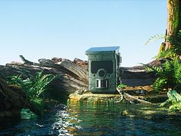 一只蜥蜴邂逅了青蛙