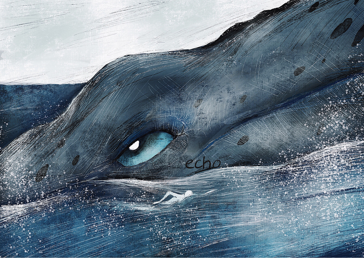 与普通鲸鱼十几赫兹的声音不同,天生发出52赫兹的鲸鱼alice相当于是个