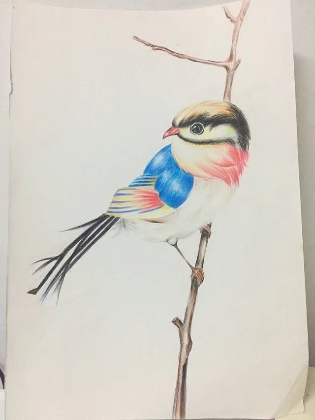 每日一画（图ZOTAyNTk1ODg=） - 创作习作 - 站酷设计师565425205原创素材 - 站酷ZCOOL
