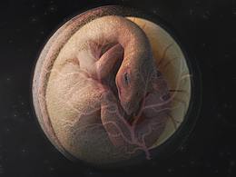 恐龙博物馆网页设计