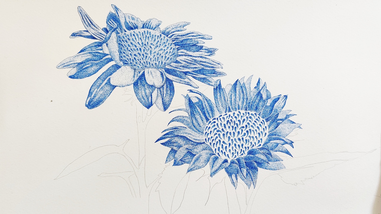 点绘——蓝色向阳花|插画|艺术插画|又脏又灰_原创作品-站酷zcool