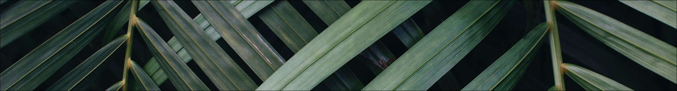 Mx漠的個人主頁（封面預(yù)覽） - 主頁封面設(shè)置 - 站酷設(shè)計師Mx漠原創(chuàng)素材 - 站酷ZCOOL