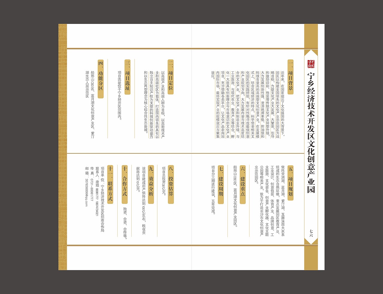 宁乡投融资手册（图ZNDA0NzI3NDA=） - 书籍/画册 - 站酷设计师fxy216ccc原创素材 - 站酷ZCOOL