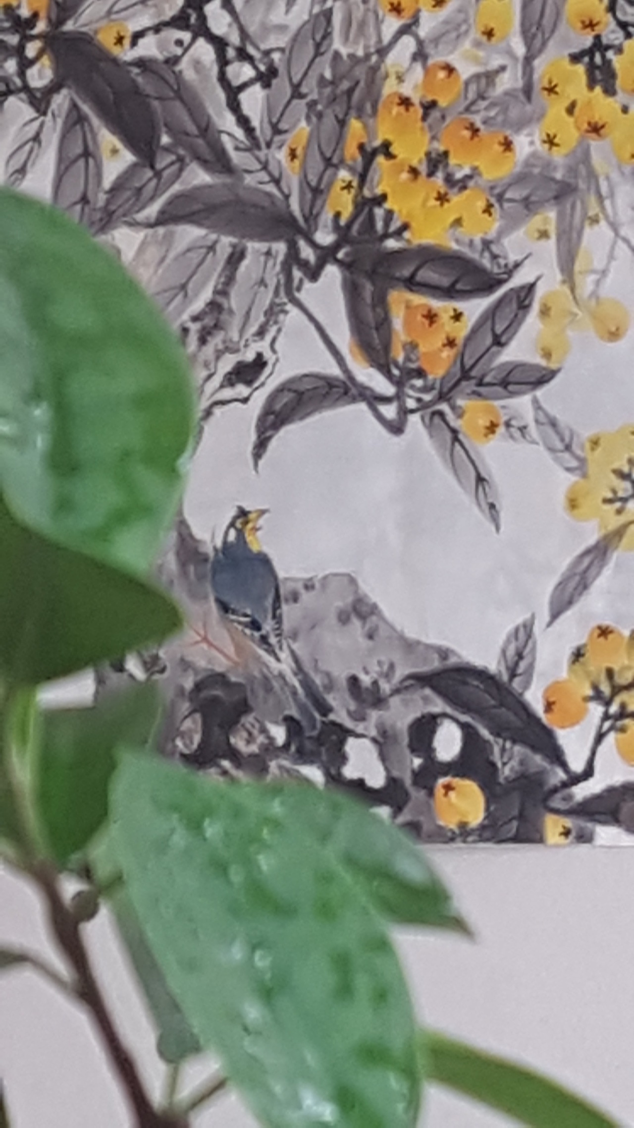 新作四尺整纸枇杷系列。