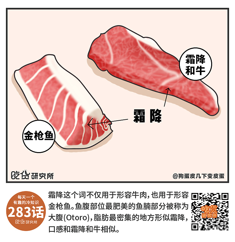 每天一个冷知识