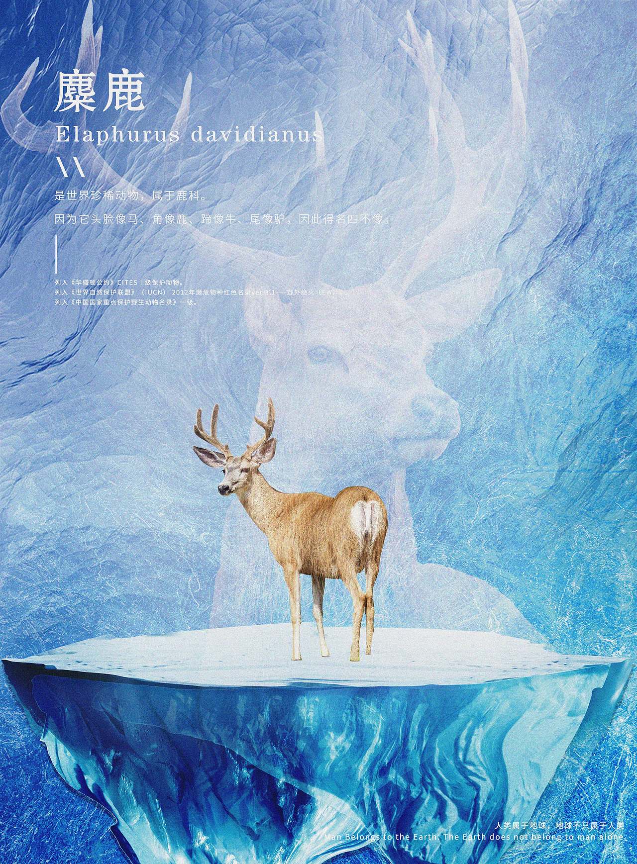 个人作品（图ZMjM4MzI1OTE2） - 海报 - 站酷设计师韶菲橙原创素材 - 站酷ZCOOL